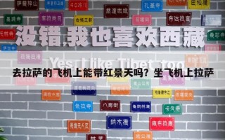 去拉薩的飛機(jī)上能帶紅景天嗎？坐飛機(jī)上拉薩