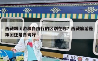 西藏跟團游和自由行的區別在哪？西藏旅游是跟團還是自駕好