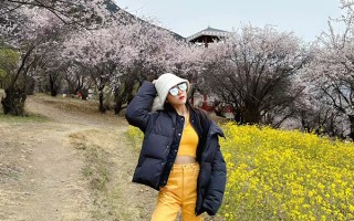 兩人到西藏要花多少錢？西安去拉薩旅游一般多少錢？