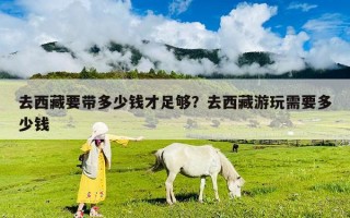去西藏要帶多少錢才足夠？去西藏游玩需要多少錢