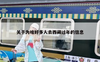 關于為啥好多人去西藏過年的信息