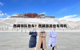 西藏領隊包車？西藏旅游包車司機
