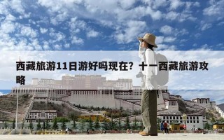 西藏旅游11日游好嗎現在？十一西藏旅游攻略