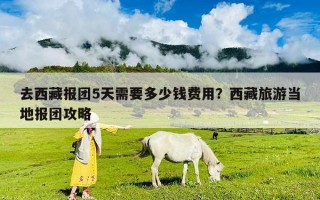 去西藏報(bào)團(tuán)5天需要多少錢費(fèi)用？西藏旅游當(dāng)?shù)貓?bào)團(tuán)攻略