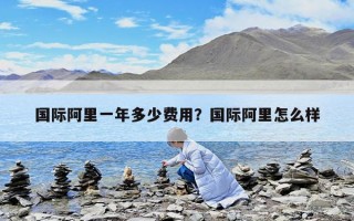 國際阿里一年多少費用？國際阿里怎么樣