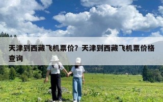天津到西藏飛機票價？天津到西藏飛機票價格查詢
