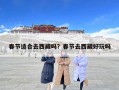 春節(jié)適合去西藏嗎？春節(jié)去西藏好玩嗎