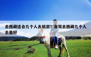 去西藏適合幾個人去旅游？自駕去西藏幾個人去最好