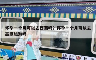 懷孕一個月可以去西藏嗎？懷孕一個月可以去高原旅游嗎