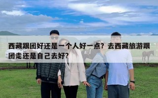 西藏跟團(tuán)好還是一個(gè)人好一點(diǎn)？去西藏旅游跟團(tuán)走還是自己去好?