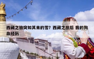 西藏之旅突如其來的雪？西藏之旅后 我的狗血經(jīng)歷