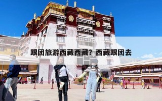 跟團(tuán)旅游西藏西藏？西藏跟團(tuán)去