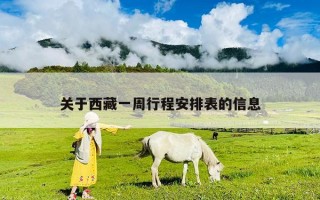 關(guān)于西藏一周行程安排表的信息