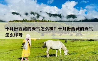 十月份西藏的天氣怎么樣？十月份西藏的天氣怎么樣呀