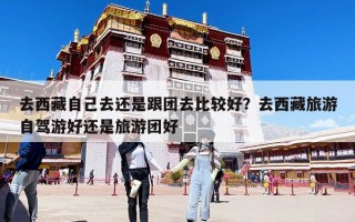 去西藏自己去還是跟團去比較好？去西藏旅游自駕游好還是旅游團好