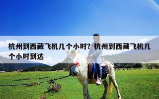 杭州到西藏飛機幾個小時？杭州到西藏飛機幾個小時到達