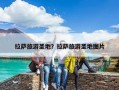 拉薩旅游圣地？拉薩旅游圣地圖片
