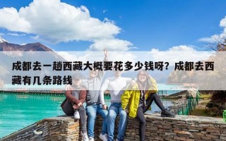 成都去一趟西藏大概要花多少錢呀？成都去西藏有幾條路線