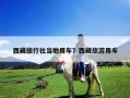 西藏旅行社當地用車？西藏旅游用車
