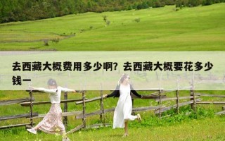 去西藏大概費(fèi)用多少啊？去西藏大概要花多少錢一