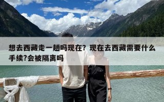 想去西藏走一趟嗎現在？現在去西藏需要什么手續?會被隔離嗎