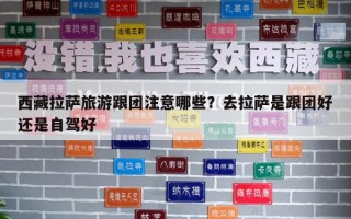 西藏拉薩旅游跟團注意哪些？去拉薩是跟團好還是自駕好
