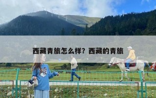 西藏青旅怎么樣？西藏的青旅