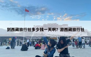 到西藏旅行社多少錢一天啊？游西藏旅行社