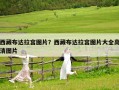 西藏布達拉宮圖片？西藏布達拉宮圖片大全高清圖片