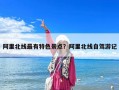 阿里北線最有特色景點？阿里北線自駕游記