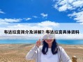 布達(dá)拉宮簡(jiǎn)介及詳解？布達(dá)拉宮具體資料