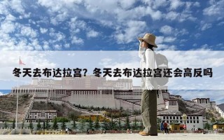 冬天去布達(dá)拉宮？冬天去布達(dá)拉宮還會(huì)高反嗎