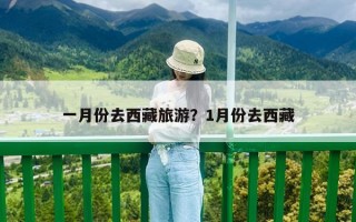 一月份去西藏旅游？1月份去西藏