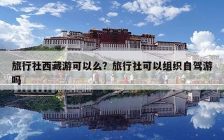 旅行社西藏游可以么？旅行社可以組織自駕游嗎