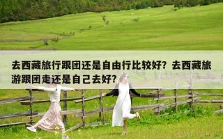 去西藏旅行跟團還是自由行比較好？去西藏旅游跟團走還是自己去好?
