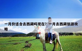一月份適合去西藏嗎現在？一月去西藏旅游攻略