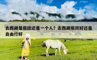 去西藏是報團還是一個人？去西藏報團好還是自由行好
