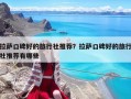 拉薩口碑好的旅行社推薦？拉薩口碑好的旅行社推薦有哪些