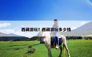 西藏游玩？西藏游玩多少錢