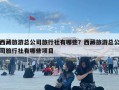 西藏旅游總公司旅行社有哪些？西藏旅游總公司旅行社有哪些項(xiàng)目
