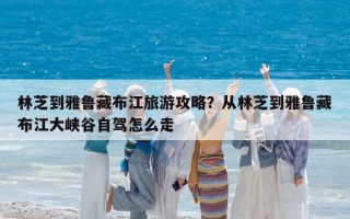 林芝到雅魯藏布江旅游攻略？從林芝到雅魯藏布江大峽谷自駕怎么走