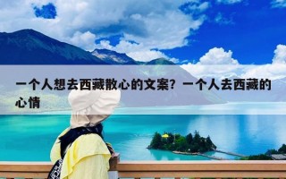 一個人想去西藏散心的文案？一個人去西藏的心情
