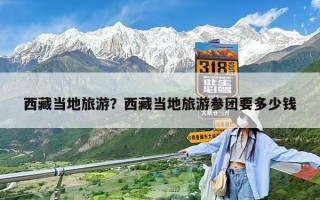 西藏當(dāng)?shù)芈糜危课鞑禺?dāng)?shù)芈糜螀F(tuán)要多少錢