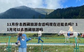 11月份去西藏旅游合適嗎現(xiàn)在還能去嗎？11月可以去西藏旅游嗎