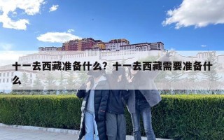 十一去西藏準(zhǔn)備什么？十一去西藏需要準(zhǔn)備什么