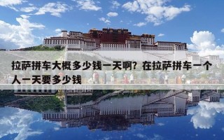 拉薩拼車大概多少錢一天啊？在拉薩拼車一個人一天要多少錢