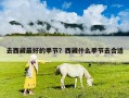 去西藏最好的季節(jié)？西藏什么季節(jié)去合適