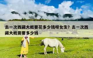 去一次西藏大概要花多少錢(qián)呀女生？去一次西藏大概需要多少錢(qián)