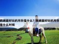 西藏最好玩的月份是什么？西藏最好玩的月份是什么時(shí)候