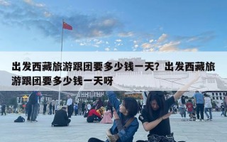 出發(fā)西藏旅游跟團(tuán)要多少錢一天？出發(fā)西藏旅游跟團(tuán)要多少錢一天呀